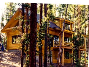 Log siding, Granby CO,