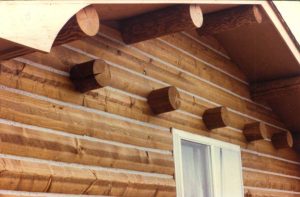 Rafter tails and purlins on log siding.