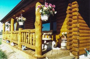 Log porch with dog