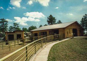 Remodel with log siding and Timberline log corners on horse barn.